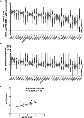 Spectrum of Mesenchymal–Epithelial Transition Aberrations and Potential Clinical Implications: Insights From Integrative Pancancer Analysis
